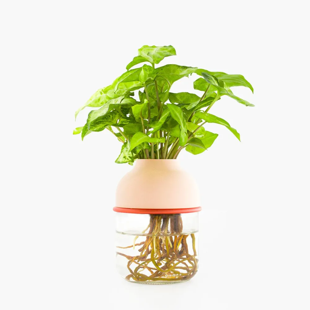 plante_avec_vase_autonome_2.webp Les Raffineurs Plante avec vase autonome