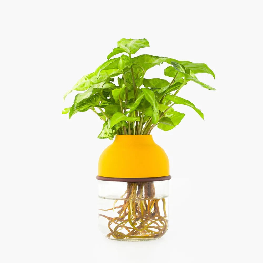 plante_avec_vase_autonome_3.webp Les Raffineurs Plante avec vase autonome